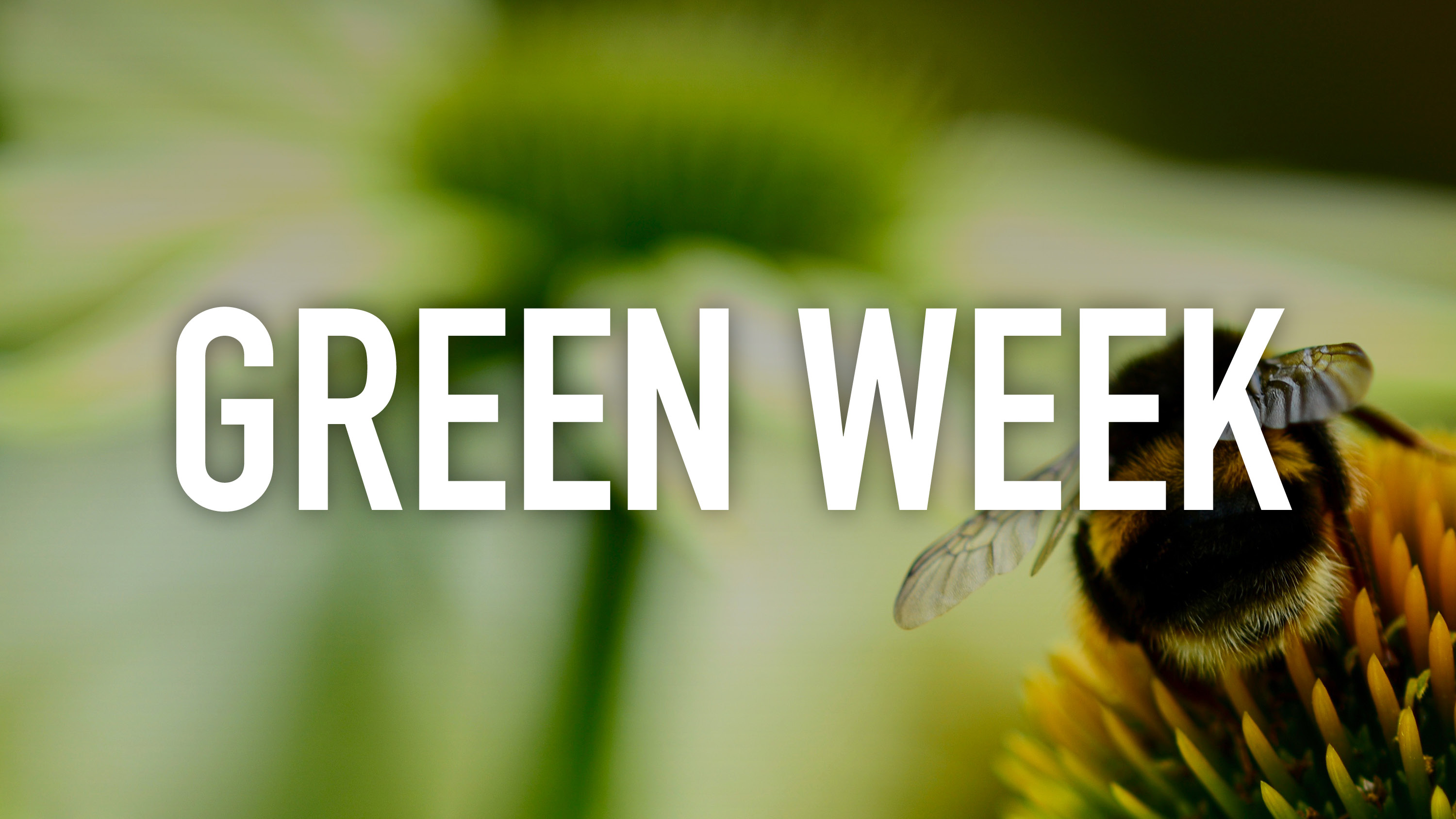 Green Week 720x405