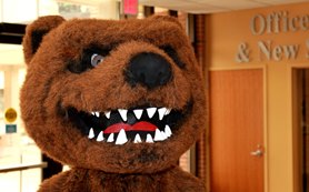 RangerBear_badbackground RangerBear_badbackground