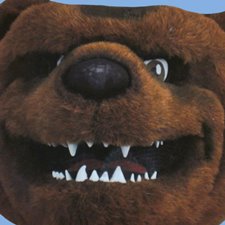 RangerBear_bighead RangerBear_bighead