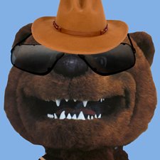 RangerBear_hat RangerBear_hat
