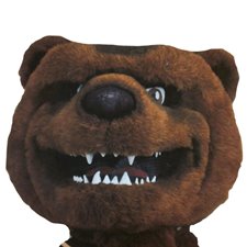 RangerBear_whitebackground RangerBear_whitebackground