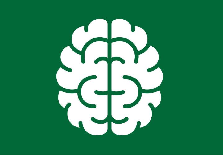 icon image of a brain