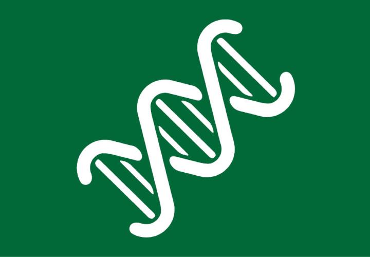 Icon of a dna chain