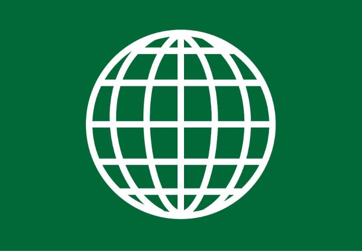 Icon of grid globe