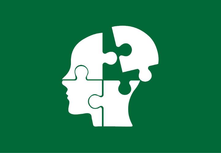icon of head divided into puzzle pieces
