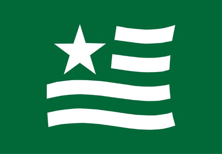 white icon of simplistic flag