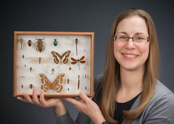 Jessica Orlofske, Ph.D.