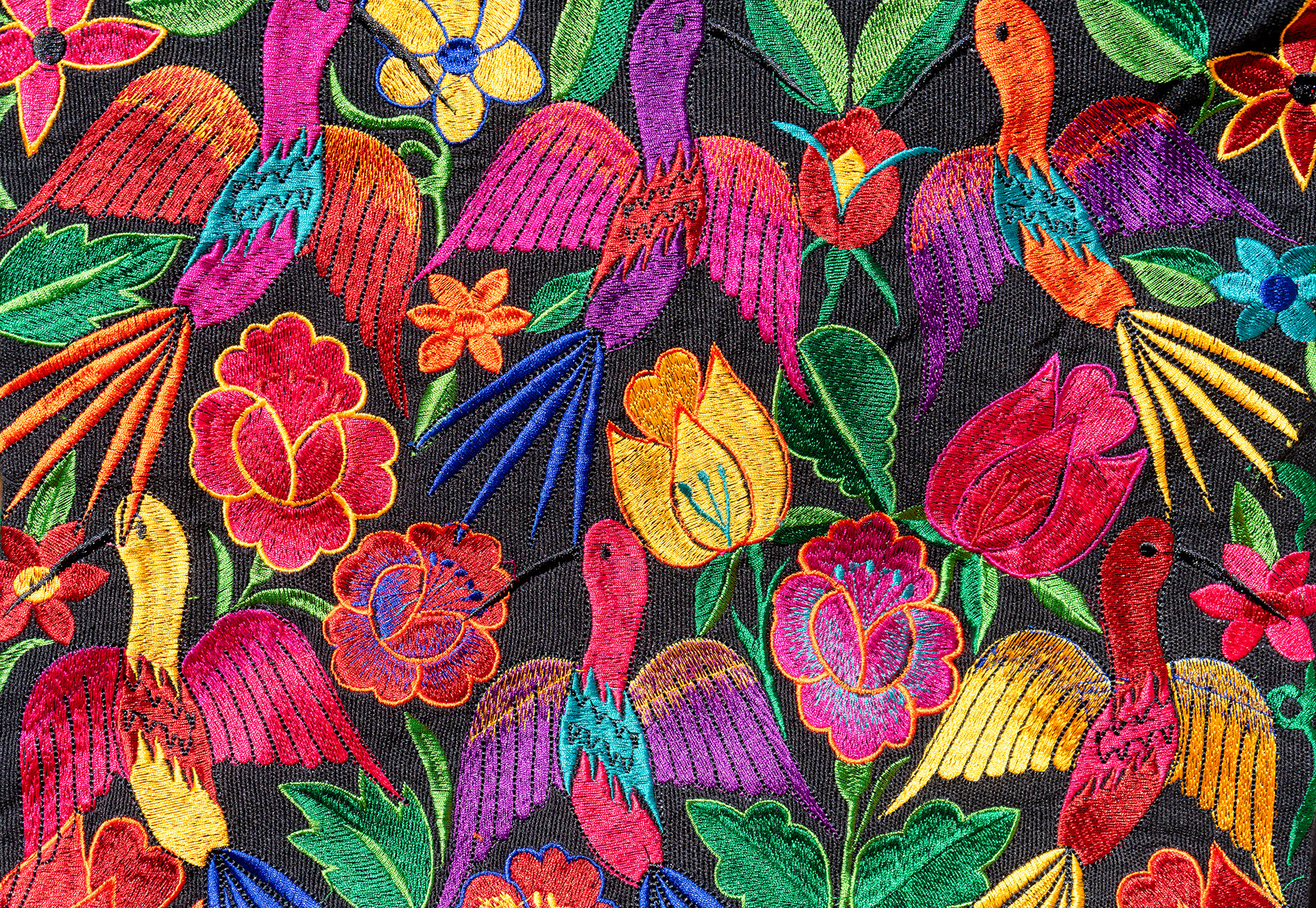 Colorful embroidered textile with birds and flowers on a black background for Amplifying Stories of Kenosha & Racine's Latinx Communities.