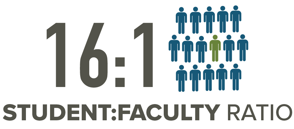 16 to 1 student faculty ratio