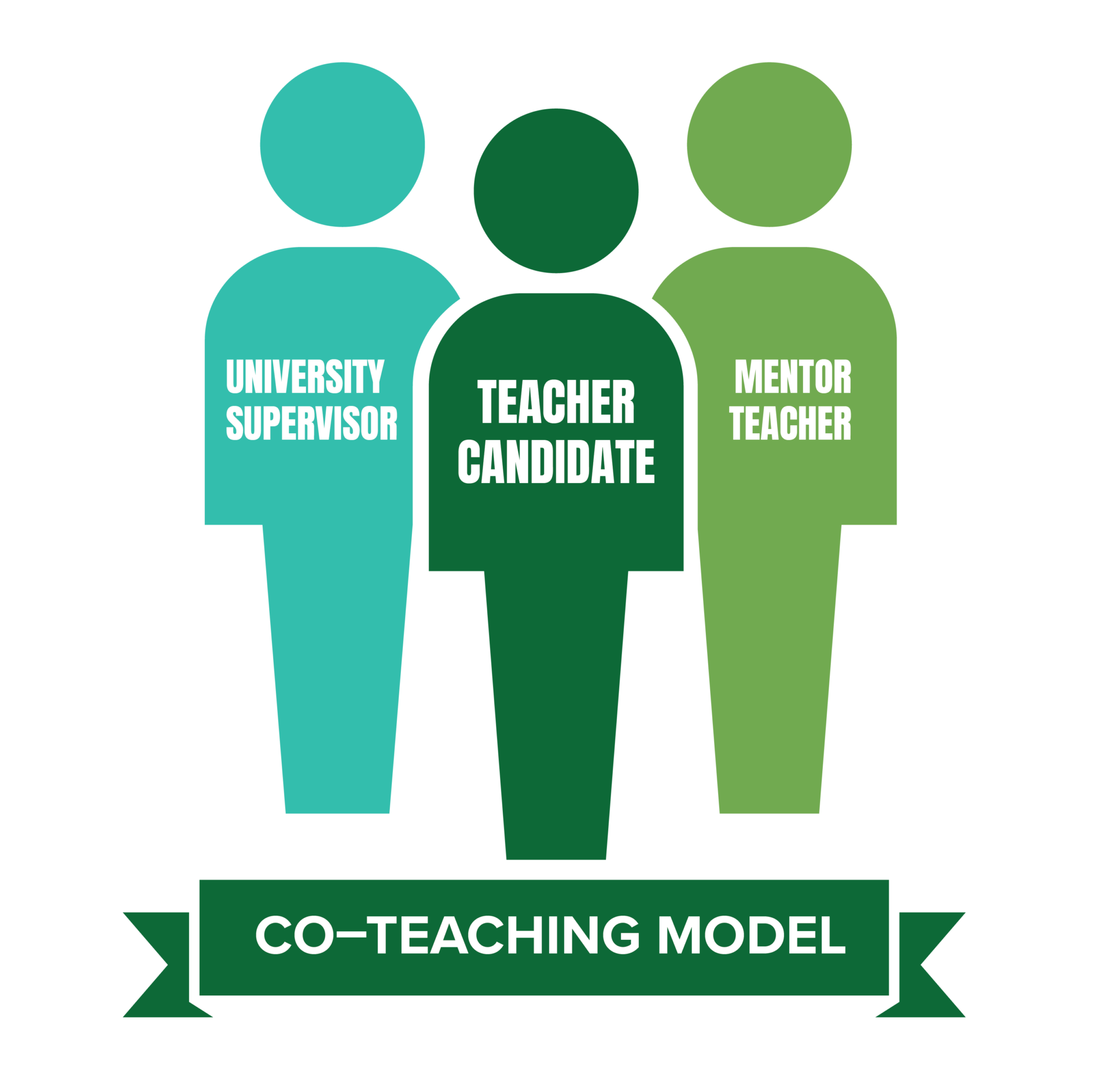 Co teaching infographic with three circles representing teacher, ed major and faculty