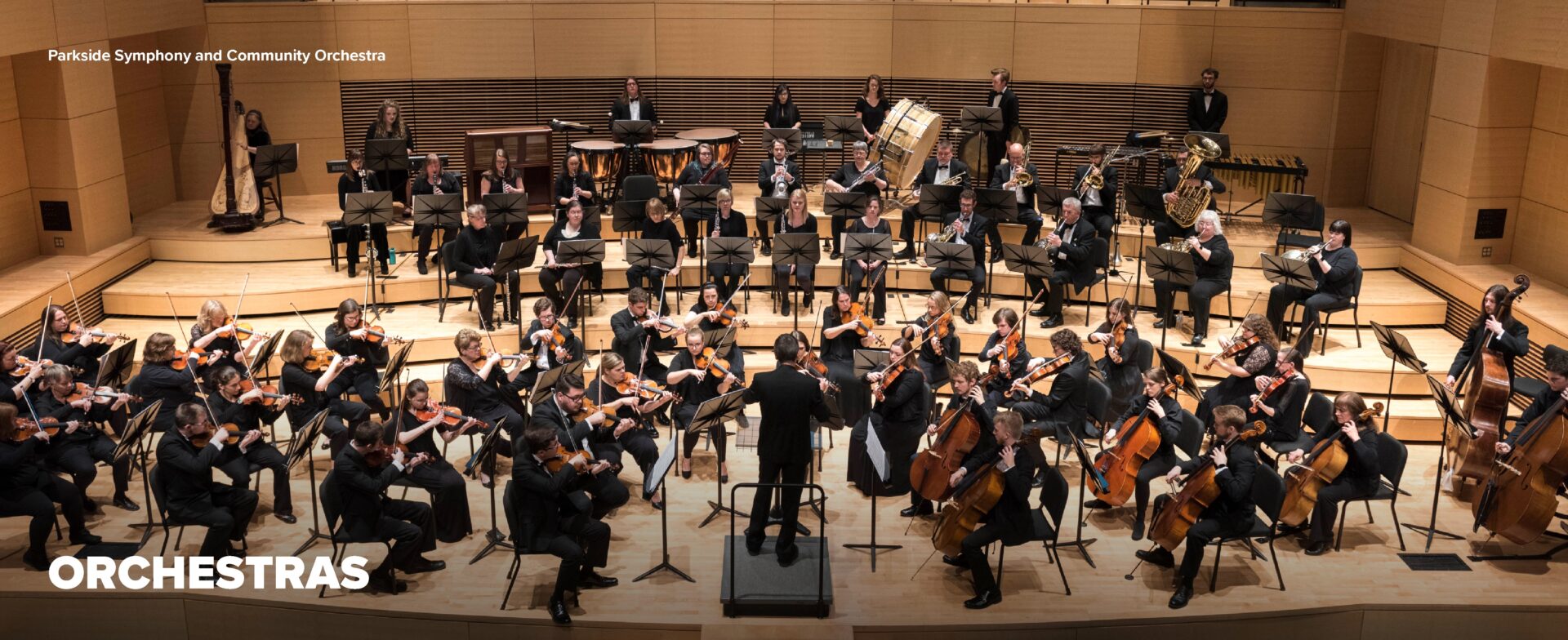 Orchestra