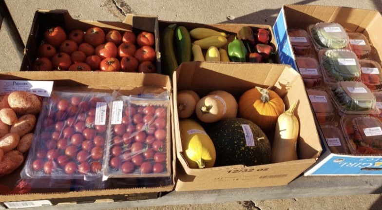 Some of the more than 1,000 pounds of produce donated by UW-Parkside to the Racine County Food Bank in 2021