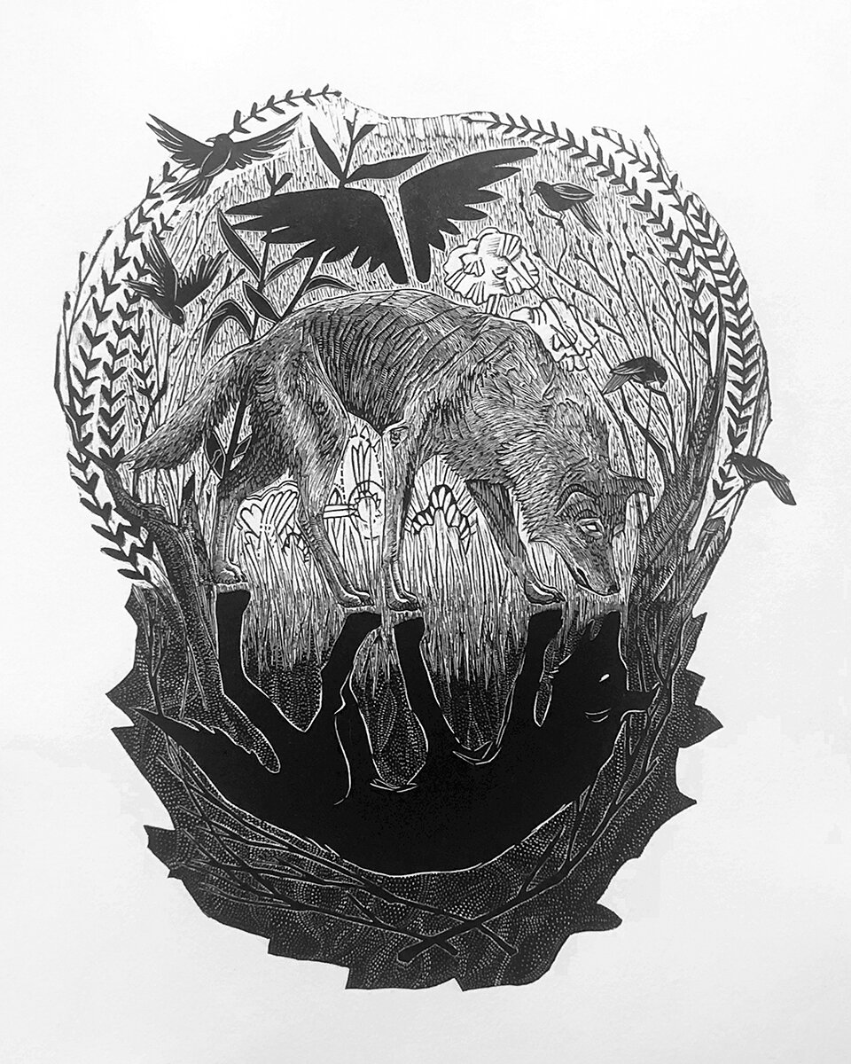 Image 52