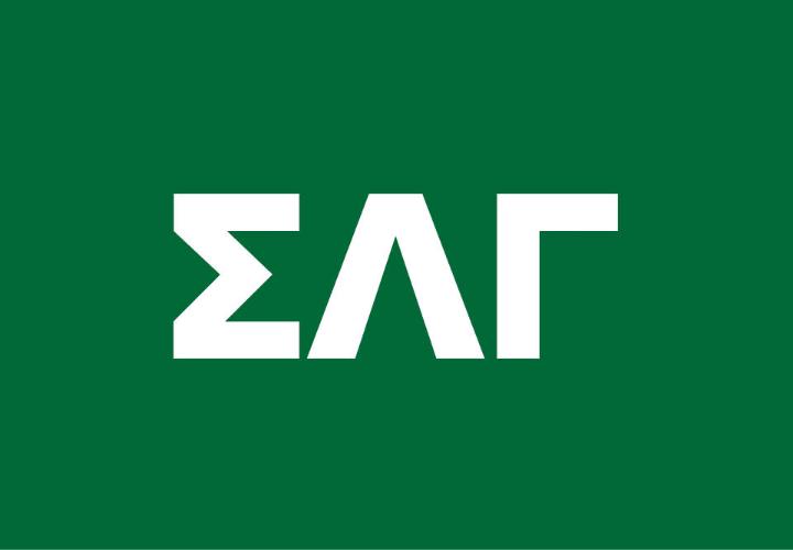 Sigma Lambda Gamma Sorority