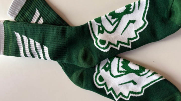 Parkside Day sock design for 2025, green with white ranger bear